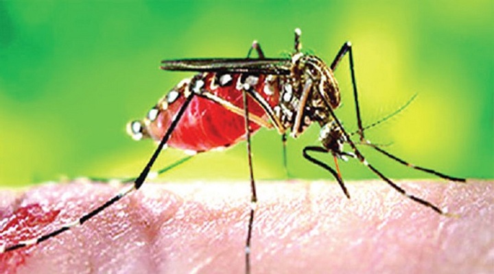 একদিনে ডেঙ্গুতে প্রাণ গেল ১০ জনের