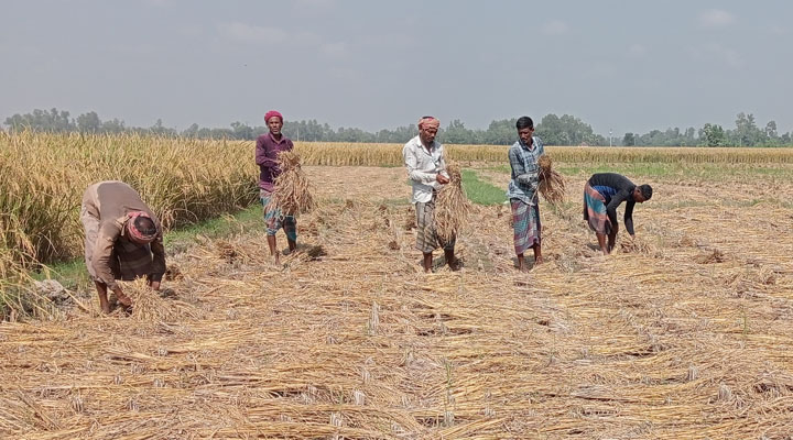 ছবি: প্রতিনিধি