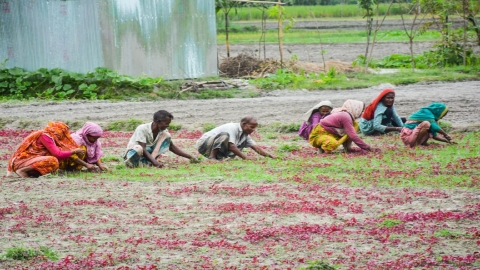 ছবি: খোলা কাগজ 