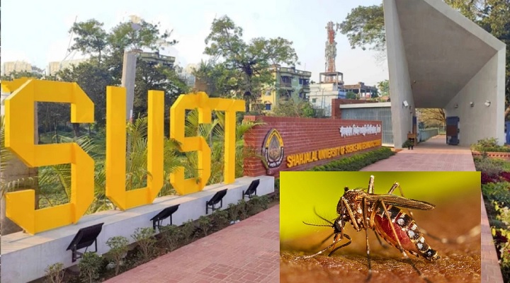 মশার উপদ্রবে অতিষ্ঠ শাবিপ্রবি শিক্ষার্থীরা