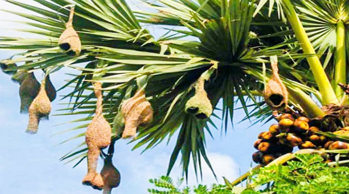 ছবি: প্রতিনিধি