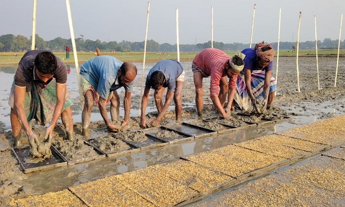 ছবি- প্রতিনিধি