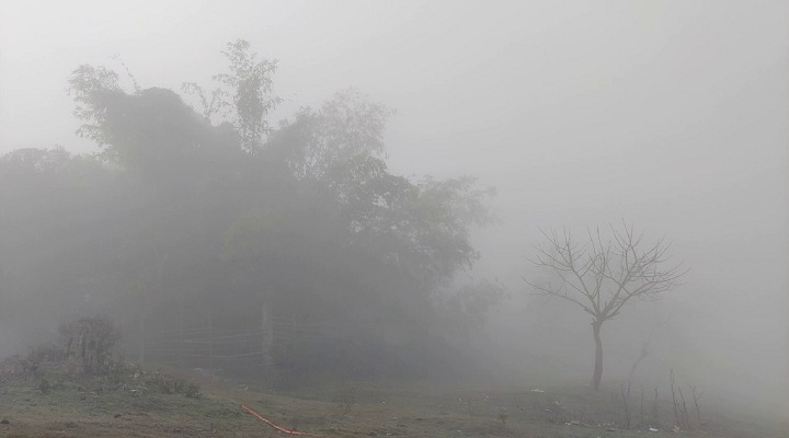 ছবি: প্রতিনিধি