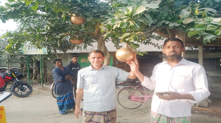 ছবি: ছবিটি উপজেলার তালখড়ি ইউনিয়নের তাড়াখড়ি গ্রাম থেকে তোলা