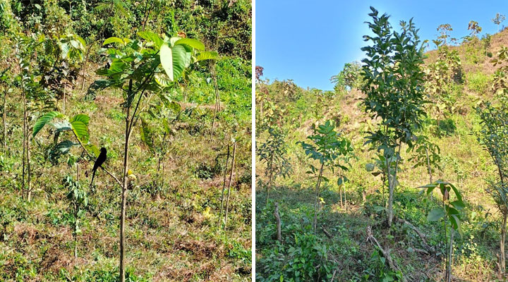 ছবি: প্রতিনিধি