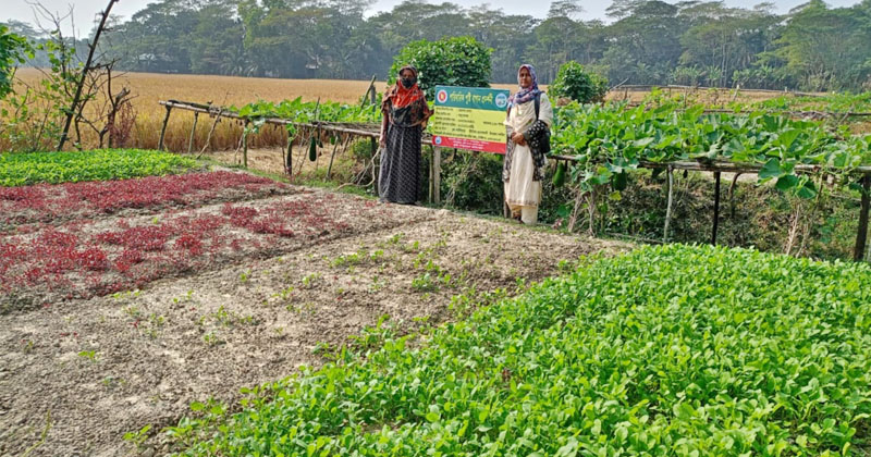 ছবি: প্রতিনিধি