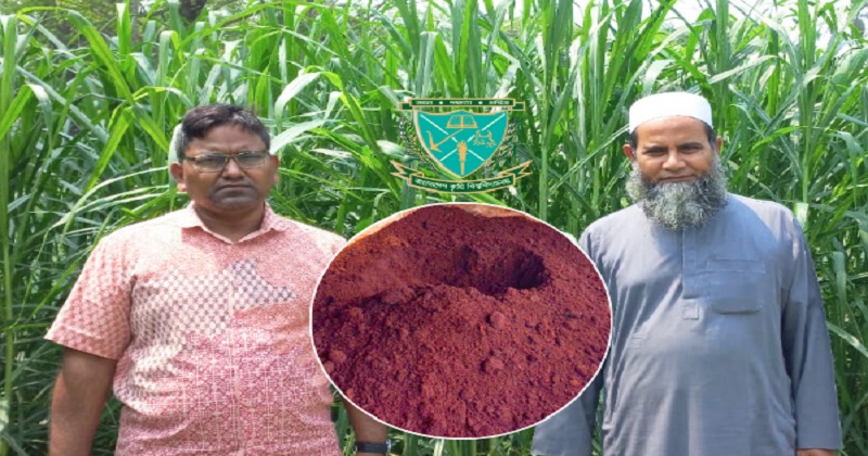 ছবি : প্রতিনিধি