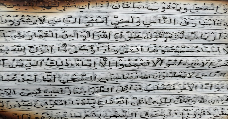 ছবি: খোলা কাগজ