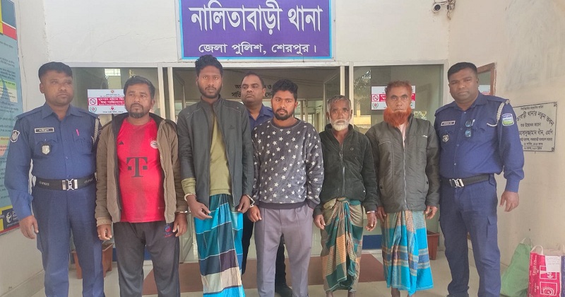 গ্রেফতারকৃত আসামিরা। ছবি: প্রতিনিধি