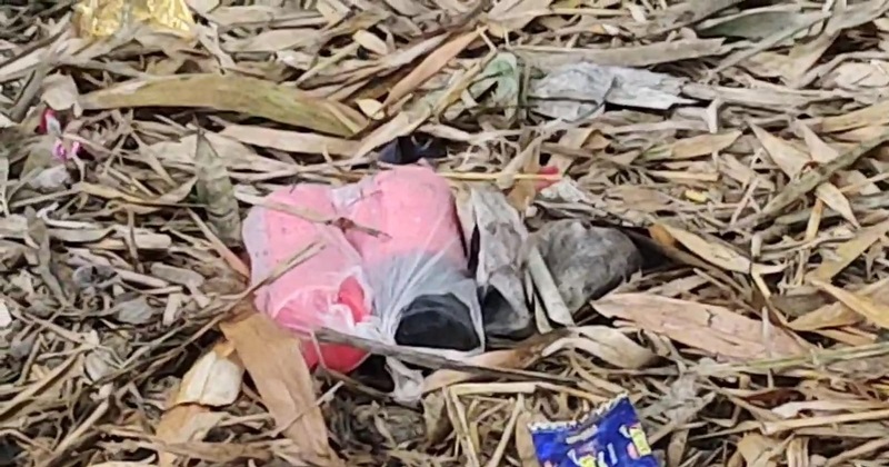 উদ্ধারকৃত ৬ টি ককটেল। ছবি: প্রতিনিধি