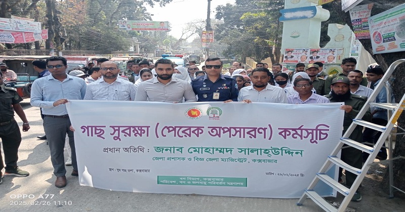 ছবি: খোলা কাগজ