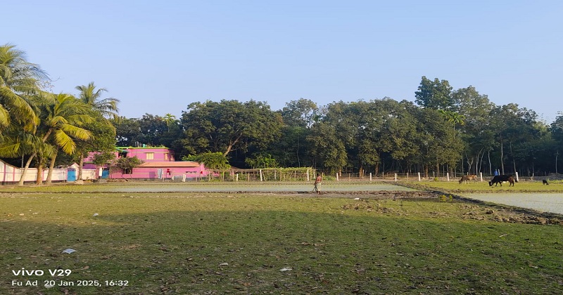 ছবি : খোলা কাগজ