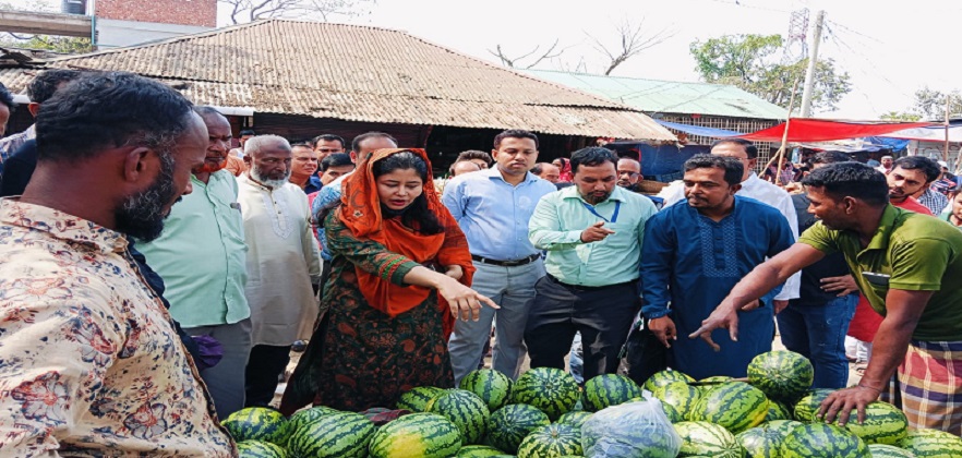 ছবি : খোলা কাগজ