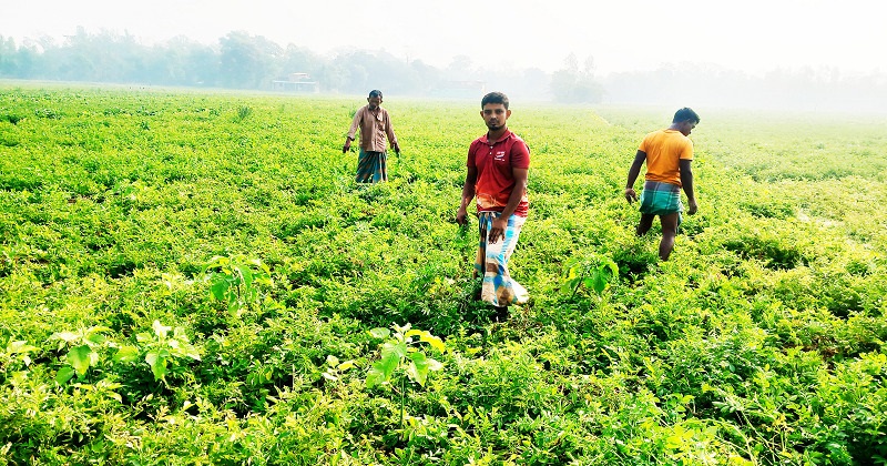 ছবি : খোলা কাগজ