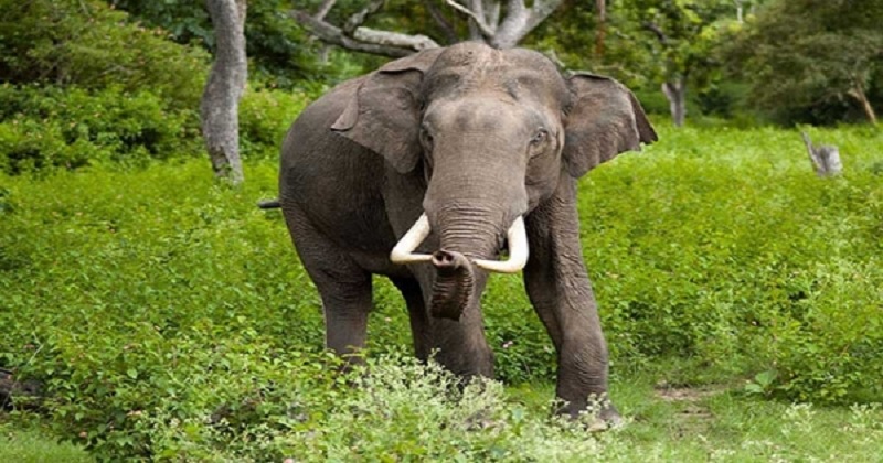 ছবি : সংগৃহীত