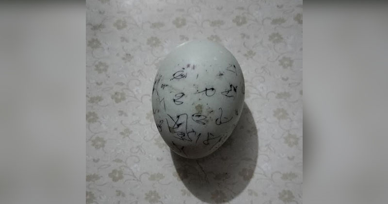 ছবি: প্রতিনিধি