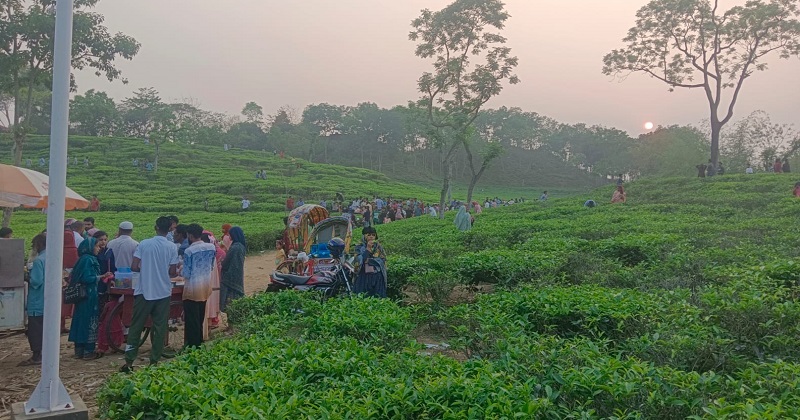 ছবি : খোলা কাগজ