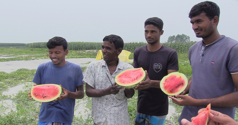তরমুজের ভালো ফলনে কৃষকের মুখে হাসি। ছবি : প্রতিনিধি