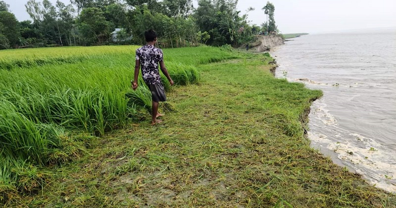 ছবি : খোলা কাগজ
