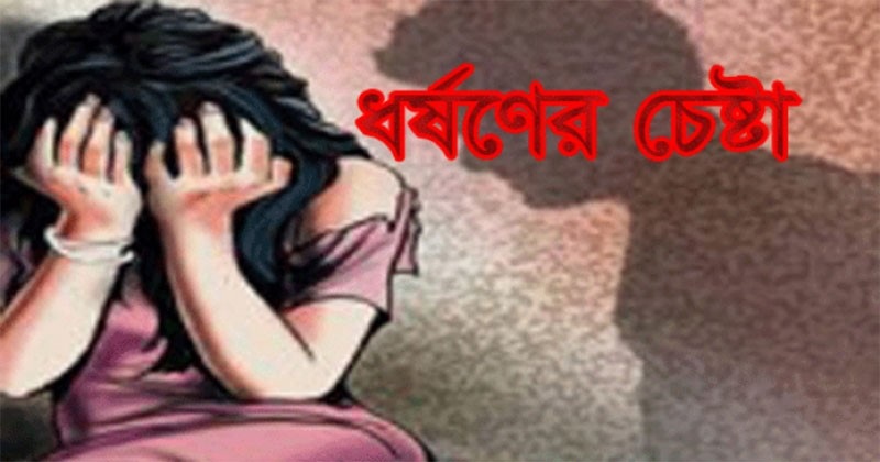 ষষ্ঠ শ্রেণির ছাত্রীকে ধর্ষণচেষ্টা, অধ্যক্ষ ও গৃহকর্মীর নামে মামলা