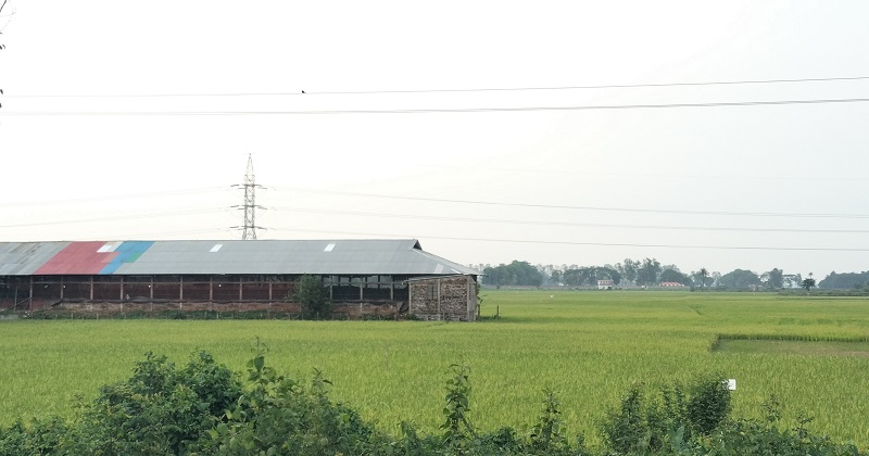 ছবি : প্রতিনিধি
