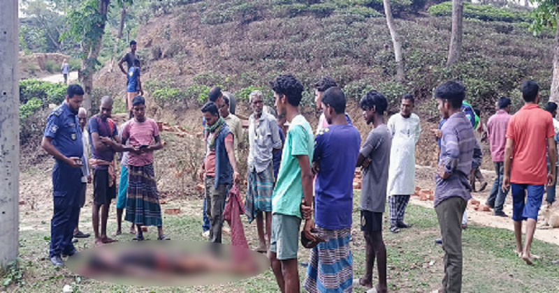 ছবি : প্রতিনিধি