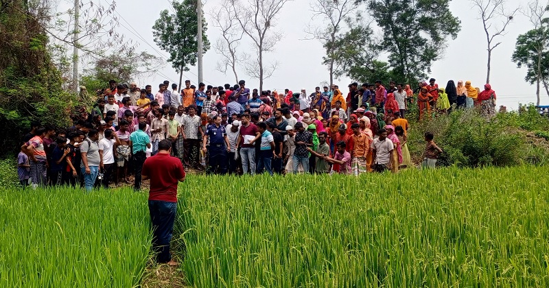 ছবি : খোলা কাগজ