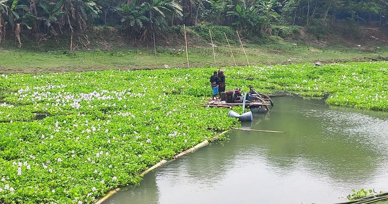 ছবি : খোলা কাগজ