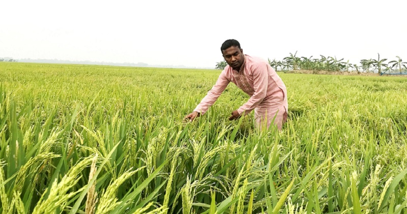ছবি : খোলা কাগজ