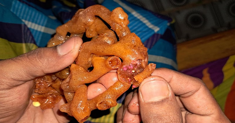 ছবি : প্রতিনিধি