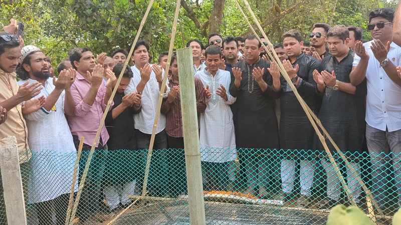 ছবি: খোলা কাগজ