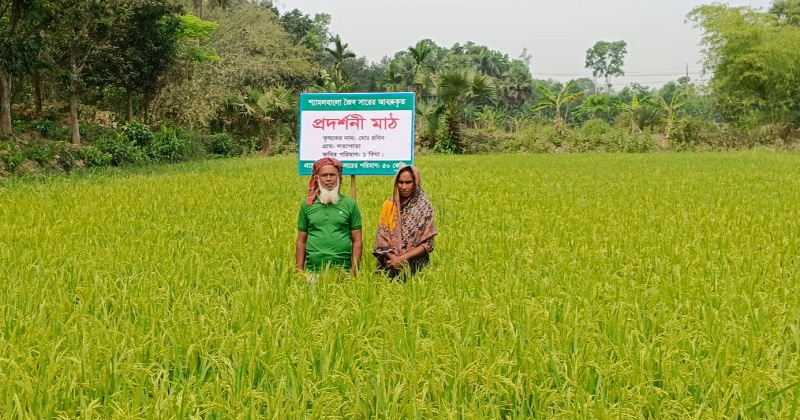 ছবি: খোলা কাগজ