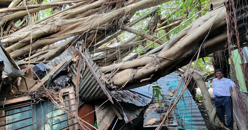 ছবি: খোলা কাগজ