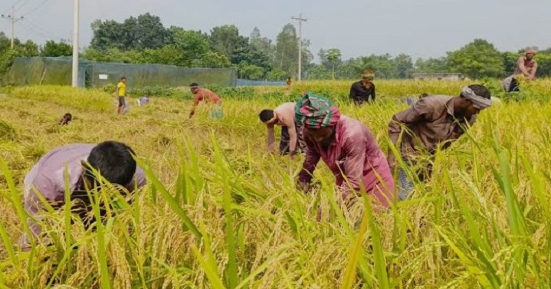 ছবি: খোলা কাগজ