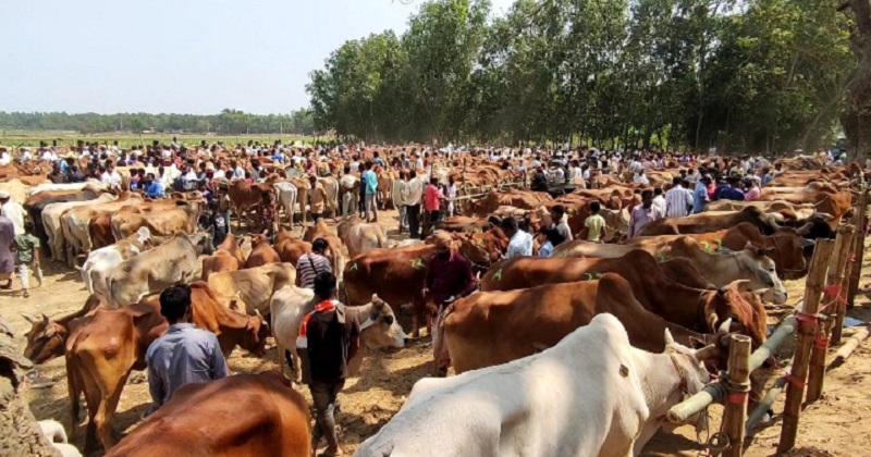 ছবি : প্রতিনিধি
