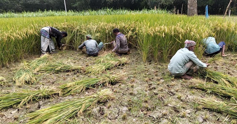 ছবি: খোলা কাগজ