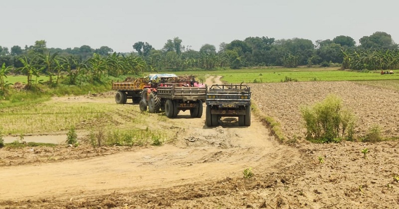 ছবি: খোলা কাগজ