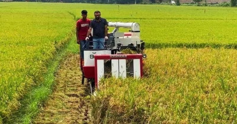ছবি : প্রতিনিধি