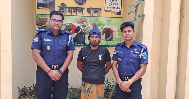 শ্রীমঙ্গলে ছাগলে ধান খাওয়াকে কেন্দ্র করে খুন