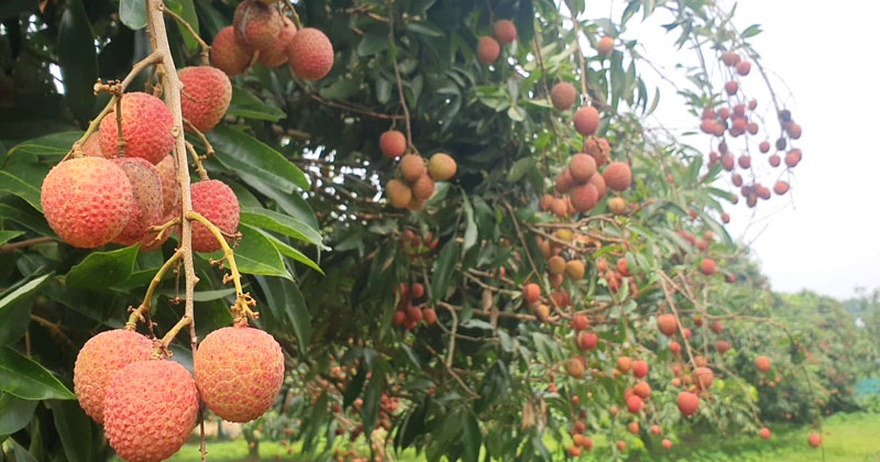 ছবি: খোলা কাগজ