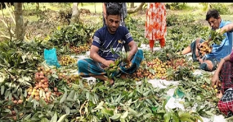 ছবি: প্রতিনিধি
