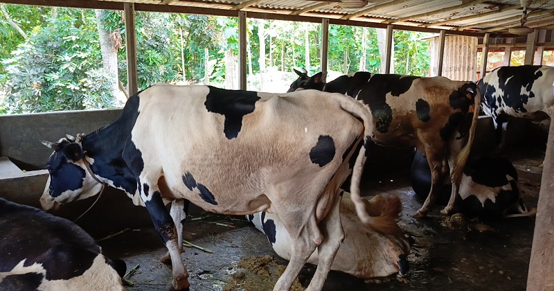 ছবি : প্রতিনিধি