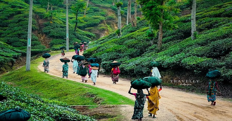 ছবি: প্রতিনিধি