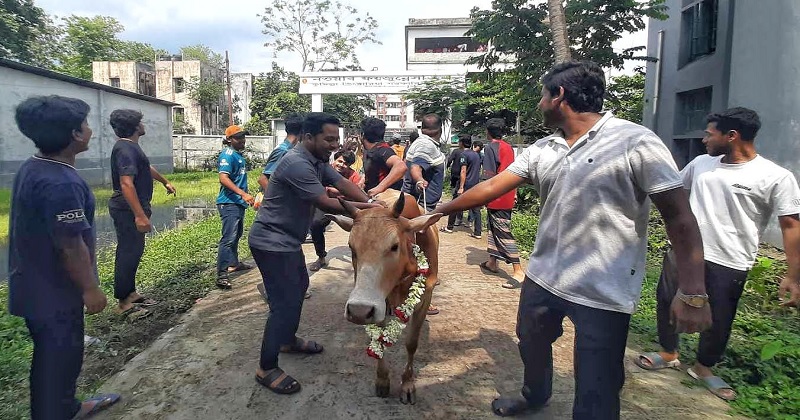 ছবি: প্রতিনিধি