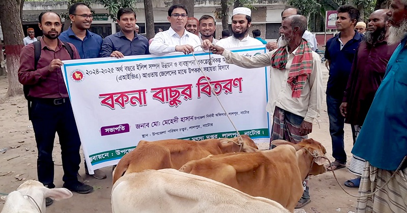 ছবি: খোলা কাগজ