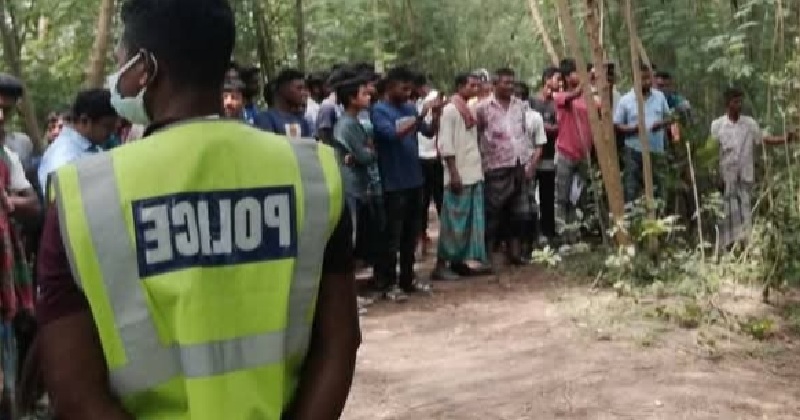 ছবি: খোলা কাগজ