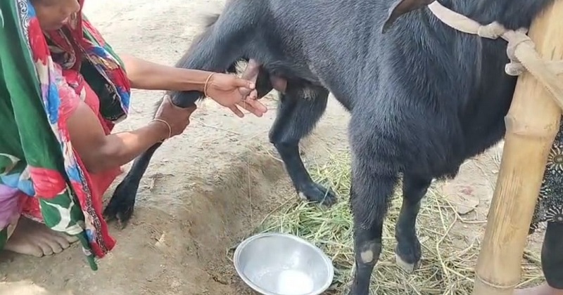 ছবি: খোলা কাগজ