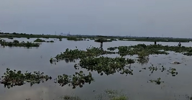 ছবি: প্রতিনিধি