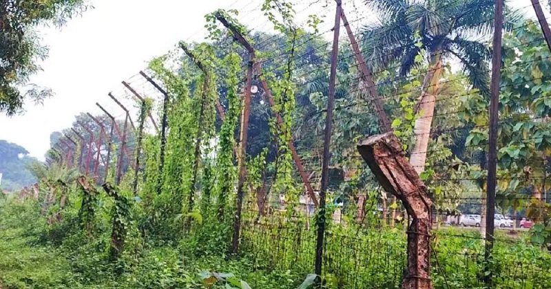 ব্রাহ্মণবাড়িয়ায় বিএসএফের গুলিতে ২ বাংলাদেশি গুলিবিদ্ধ