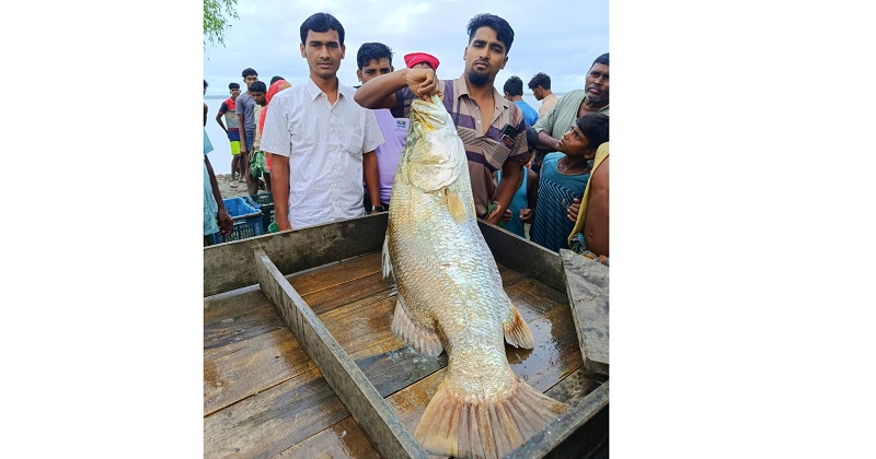 ছবি : প্রতিনিধি